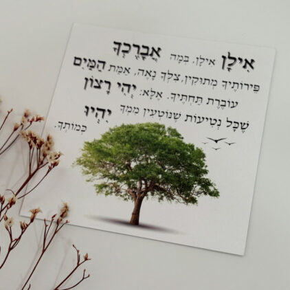 כרטיס ברכה "אילן אילן"