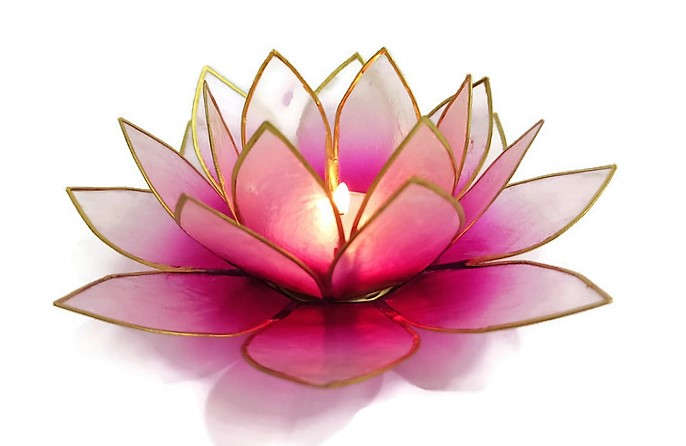 Pink Lotus Shell Candlestick