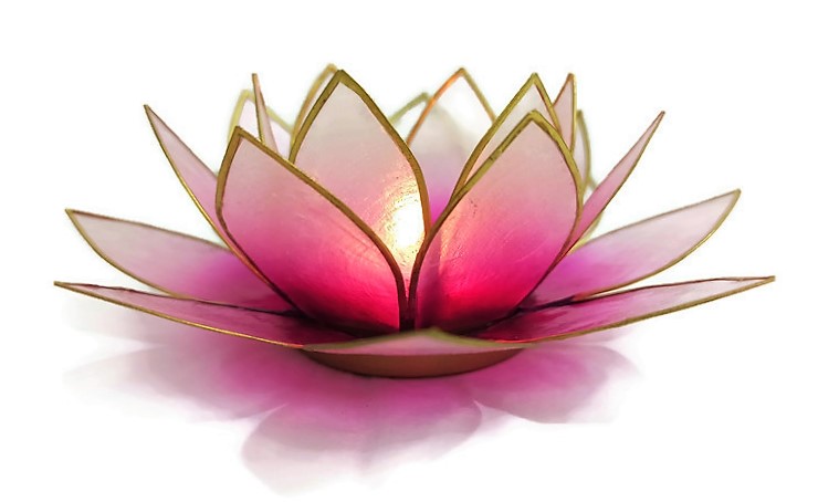 Pink Lotus Shell Candlestick