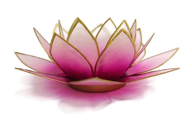 Pink Lotus Shell Candlestick