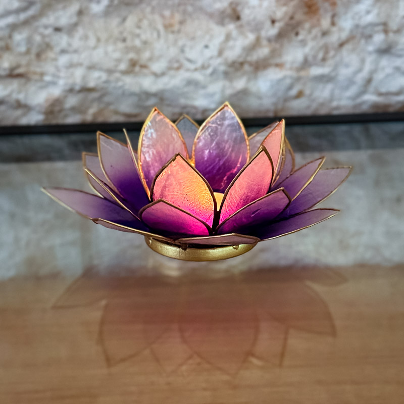 פמוט לוטוס צדפה- סגול אומברה