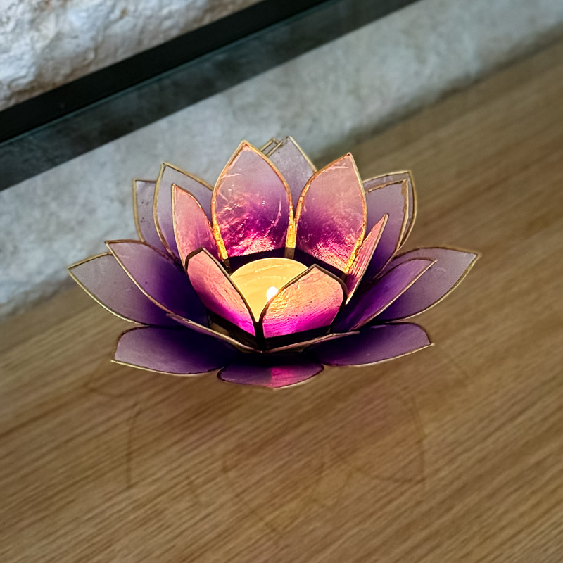 פמוט לוטוס צדפה- סגול אומברה