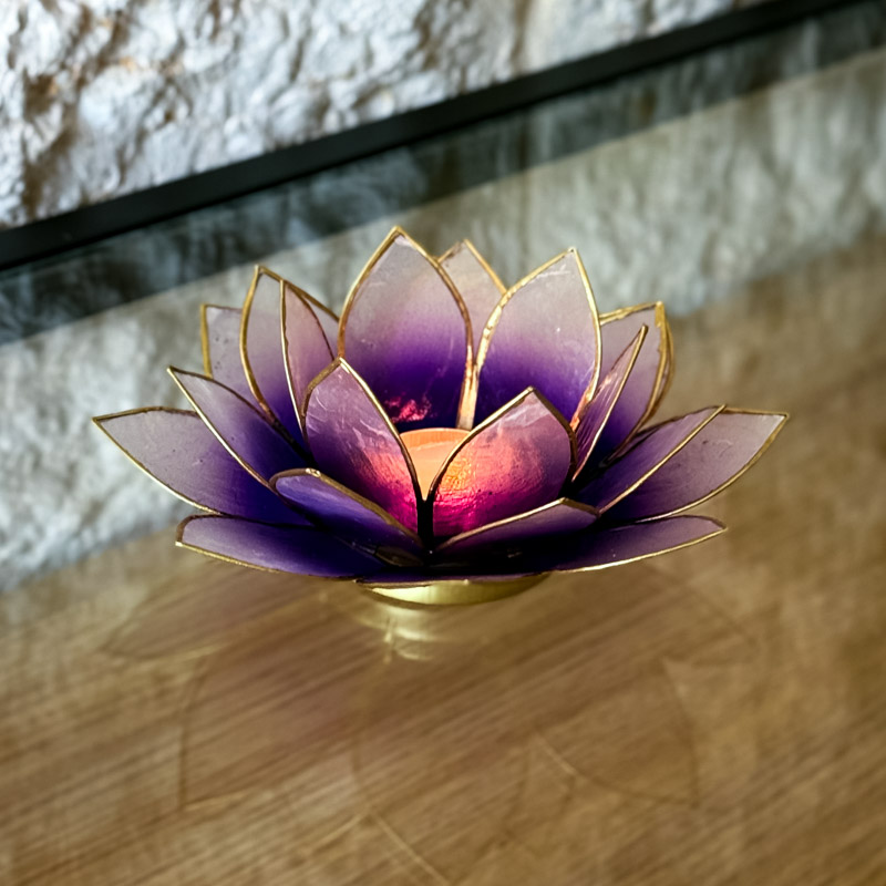 פמוט לוטוס צדפה- סגול אומברה