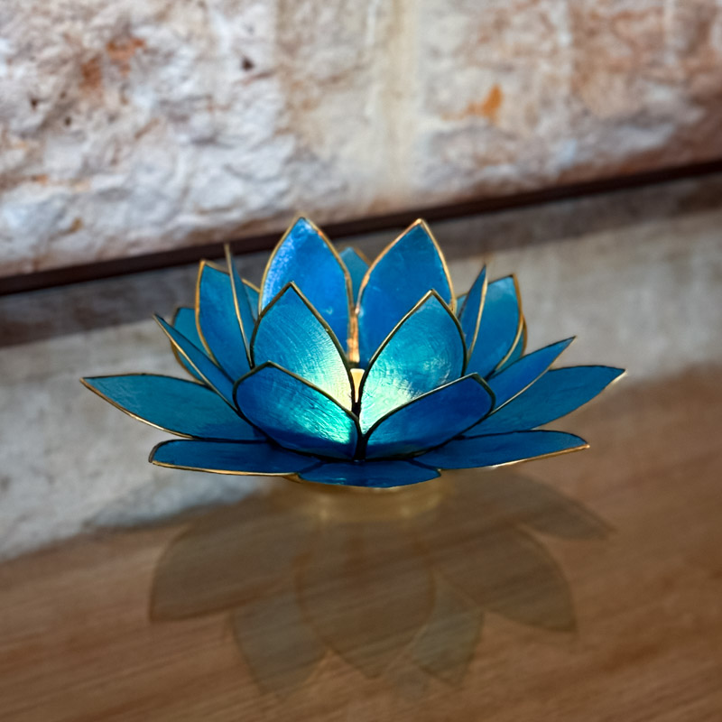 פמוט לוטוס צדפה - טורקיז