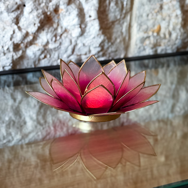 פמוט לוטוס צדפה - ורוד אומברה