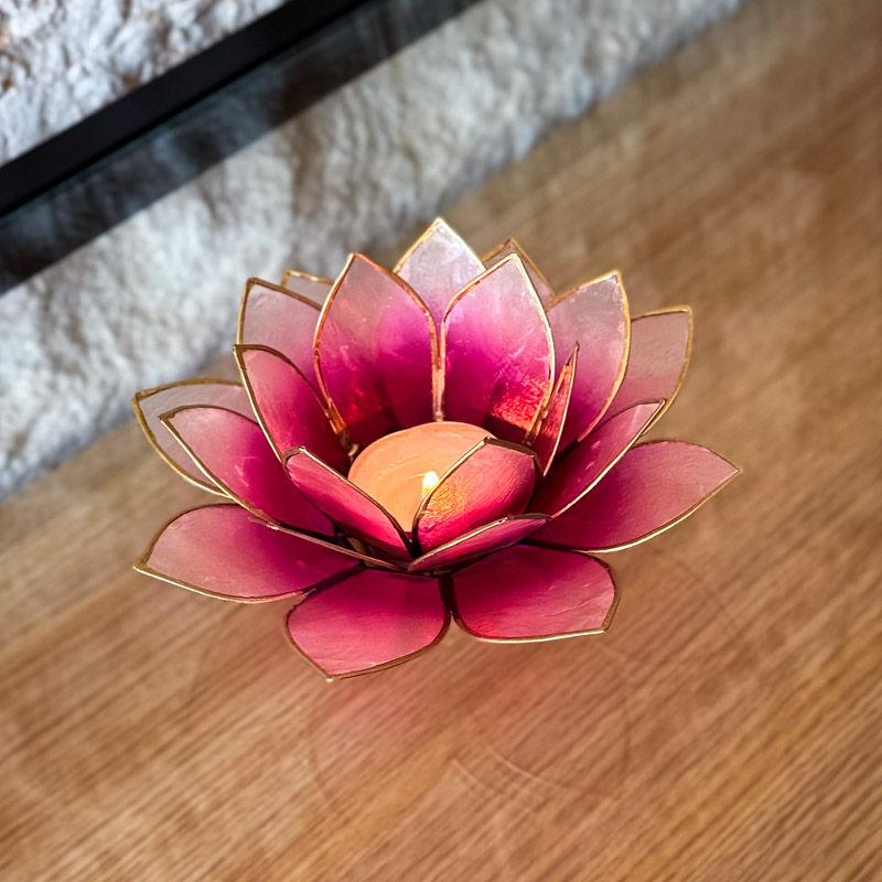 פמוט לוטוס צדפה - ורוד אומברה