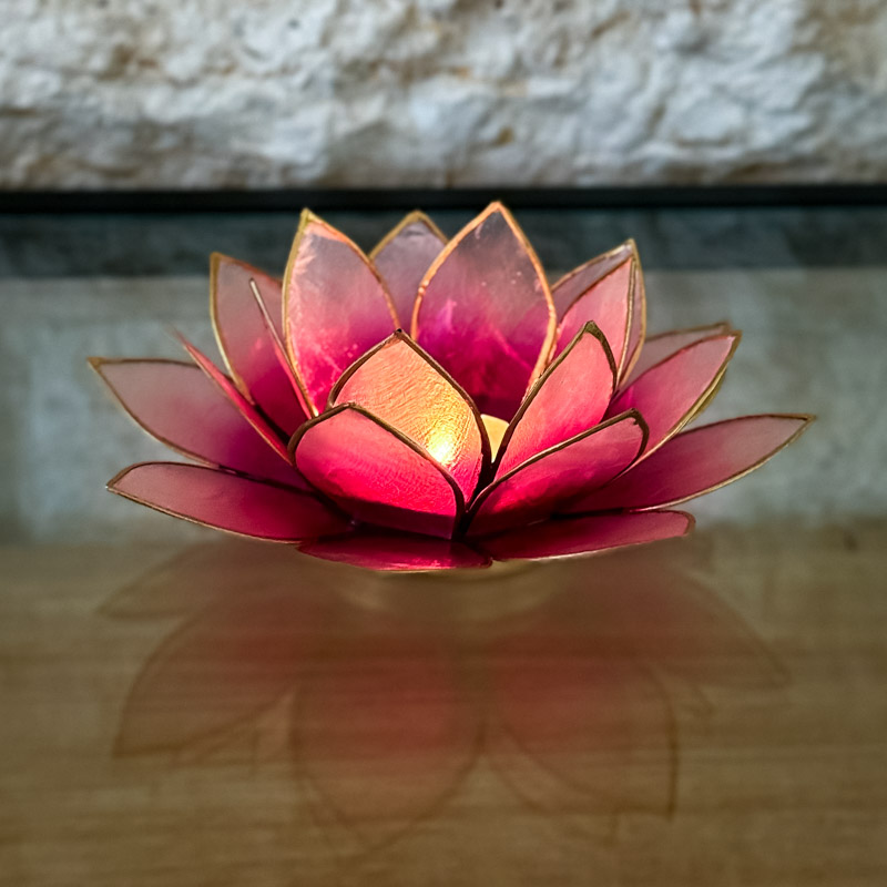 פמוט לוטוס צדפה - ורוד אומברה