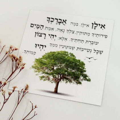 כרטיס ברכה "אילן אילן"