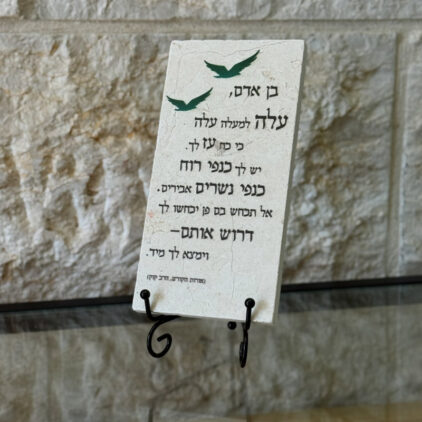 אריח 10/20 - בן אדם (הרב קוק)