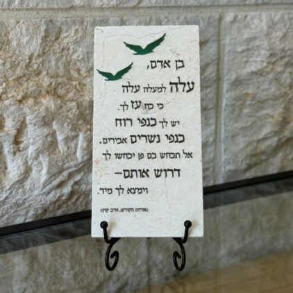 אריח 10/20 - בן אדם (הרב קוק)
