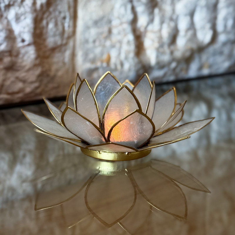 פמוט לוטוס צדפה- פנינה