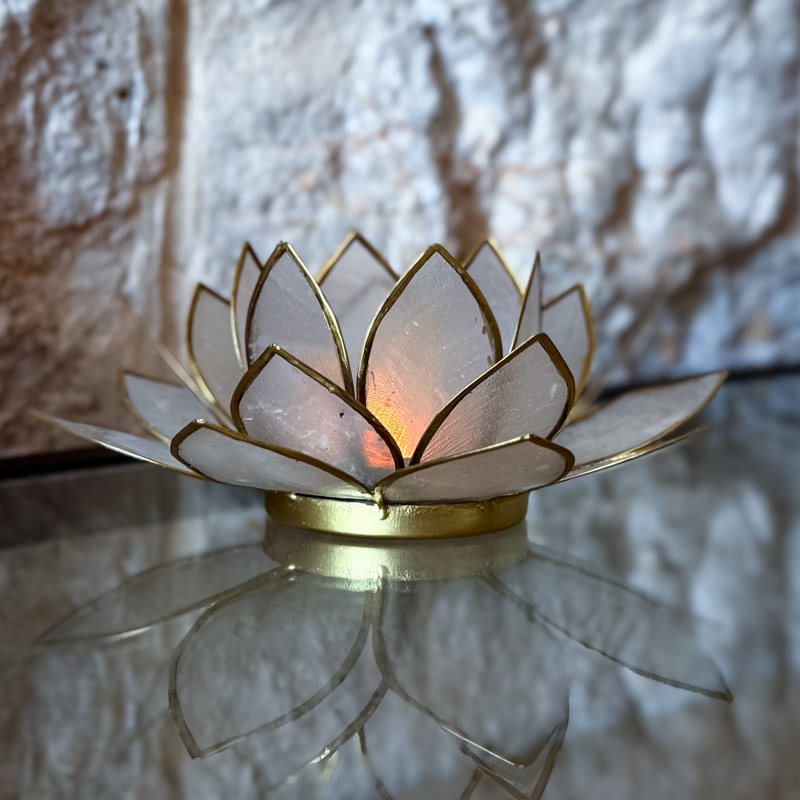 פמוט לוטוס צדפה- פנינה