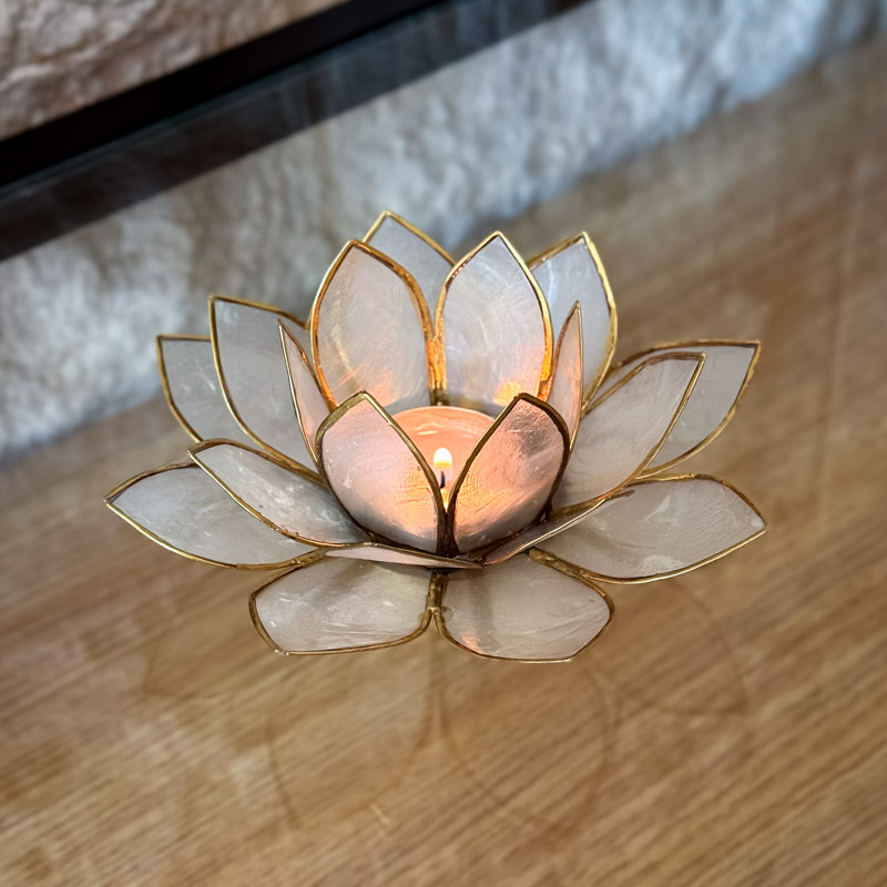 פמוט לוטוס צדפה- פנינה