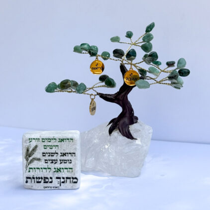 מארז העץ הנדיב ואריח לבחירה