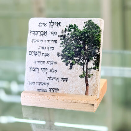 אריח 10/10 -אילן אילן