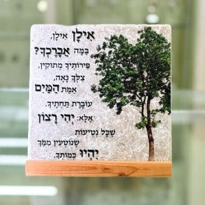 אריח 15/15 - אילן אילן