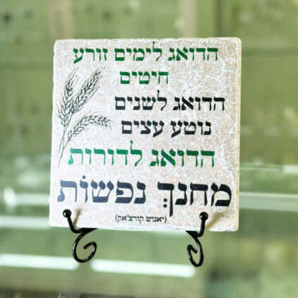אריח 15/15 – ‘הדואג לימים’