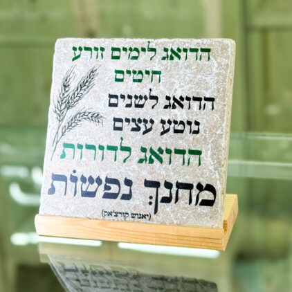 אריח 15/15 – ‘הדואג לימים’