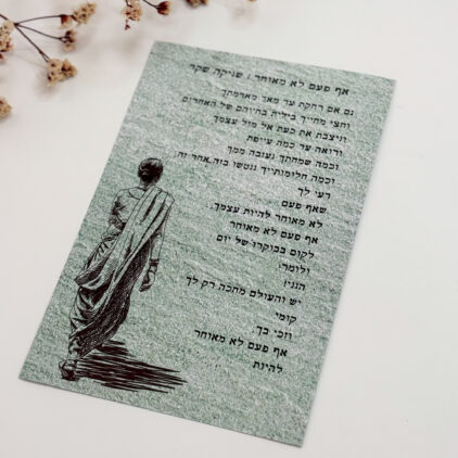 גלוית 'אף פעם לא מאוחר'- שניקה שקד