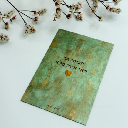 מגנט 'פלא' - שניקה שקד