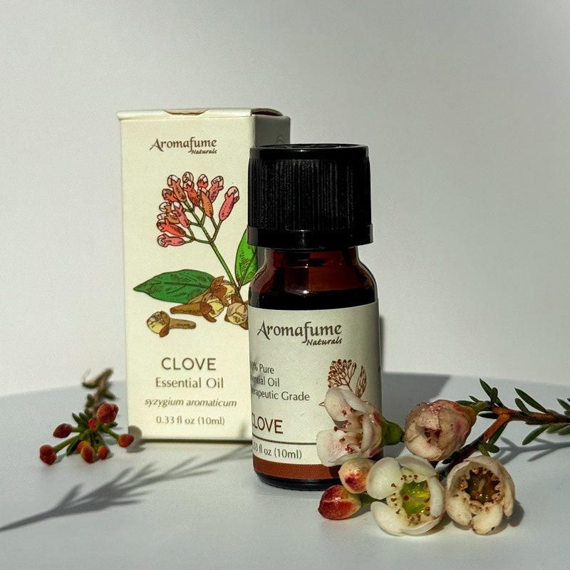 שמן אתרי טהור - ציפורן