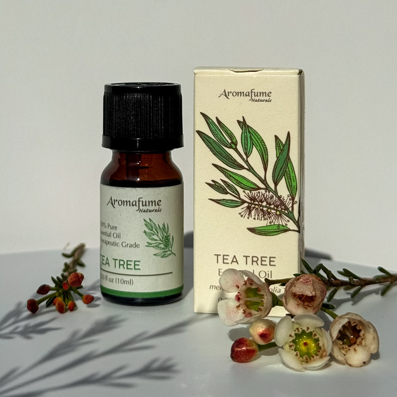 שמן אתרי טהור - עץ התה