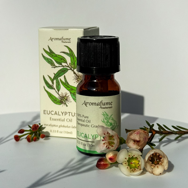 שמן אתרי טהור - אקליפטוס