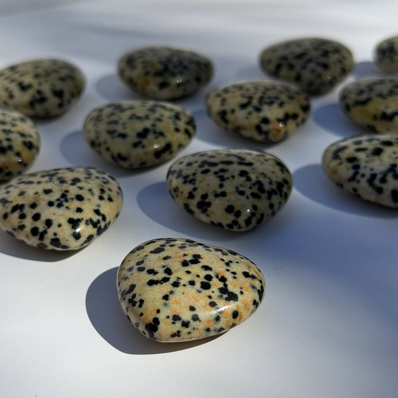 לב מאבן ג'ספר דלמטי