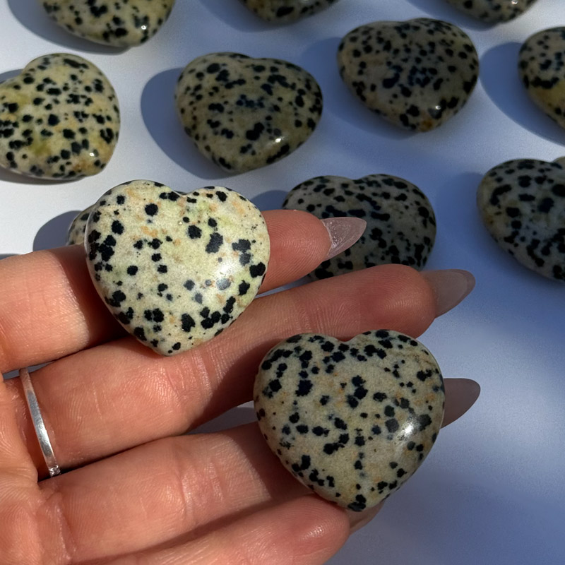 לב מאבן ג'ספר דלמטי