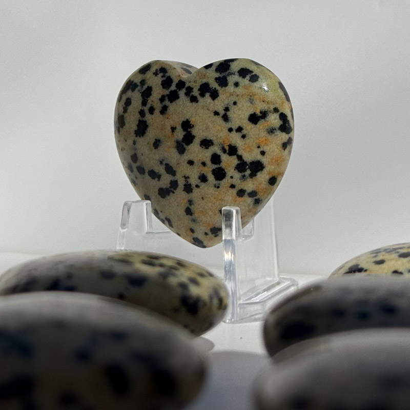 לב מאבן ג'ספר דלמטי