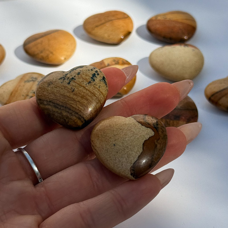 לב מאבן ג'ספר פיקצ'ר