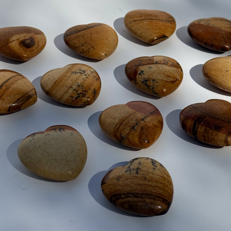 לב מאבן ג'ספר פיקצ'ר