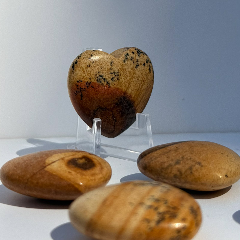 לב מאבן ג'ספר פיקצ'ר