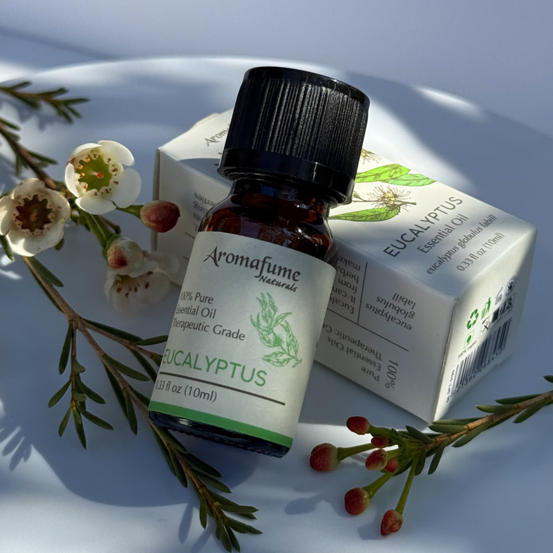 שמן אתרי טהור - אקליפטוס