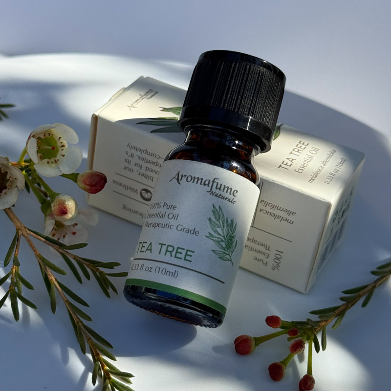 שמן אתרי טהור - עץ התה