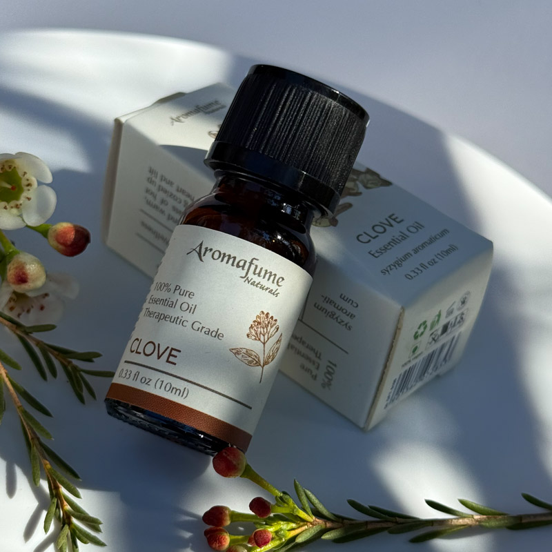 שמן אתרי טהור - ציפורן