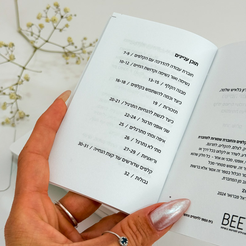 קלפי נשימה יומיומית קלפי נשימה יומיומית