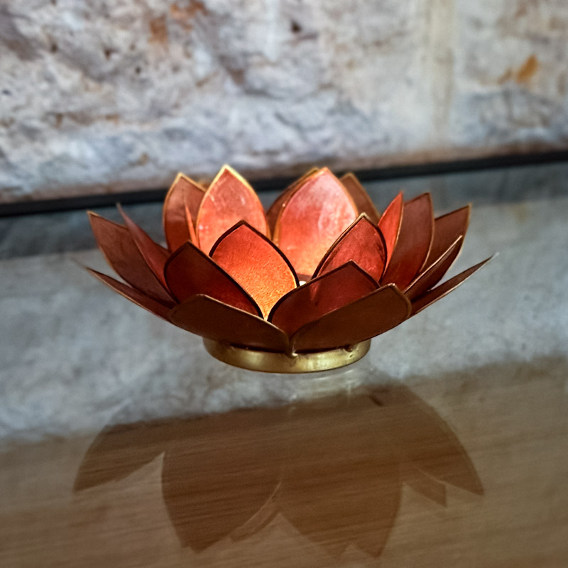 פמוט לוטוס צדפה - שמפניה