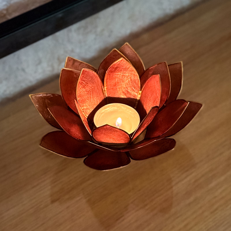 פמוט לוטוס צדפה - שמפניה