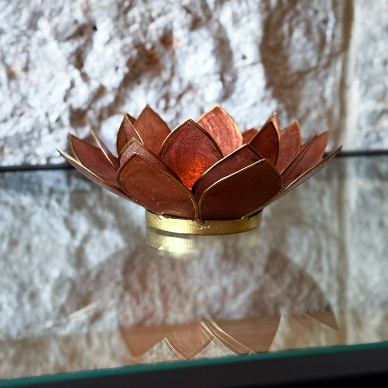 פמוט לוטוס צדפה - שמפניה