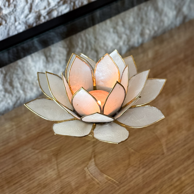 פמוט לוטוס צדפה - לבן