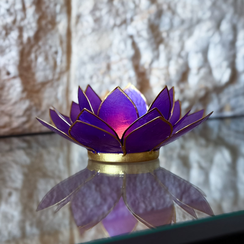 פמוט לוטוס צדפה - סגול