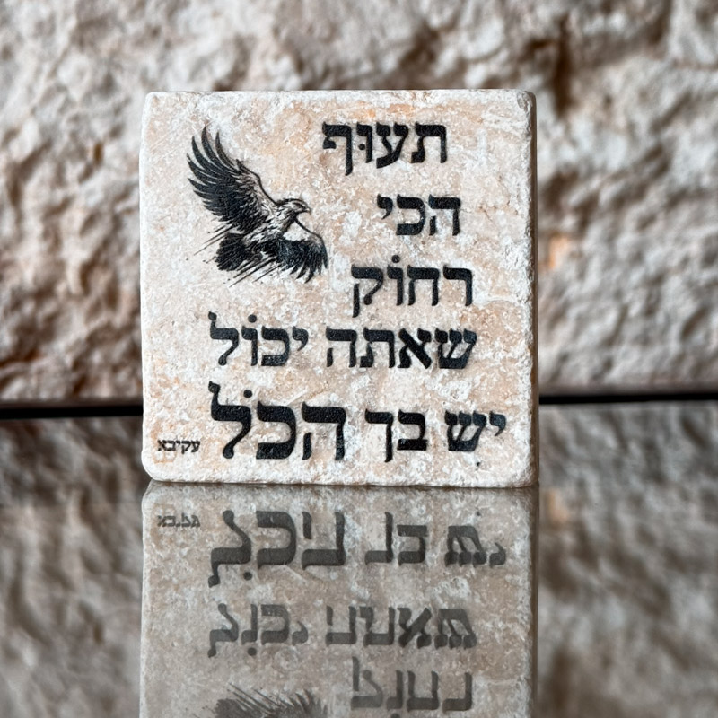 אריח 5/5 - תעוף הכי רחוק שאתה יכול