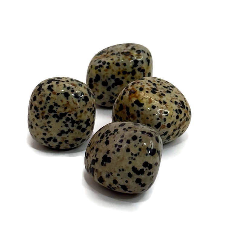 חלוק ג'ספר דלמטי חלוק ג'ספר דלמטי