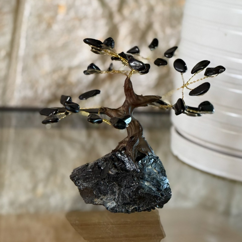 העץ הנדיב טורמלין שחור על טורמלין שחור קטן