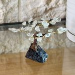 העץ הנדיב קוורץ על טורמלין שחור פיצי