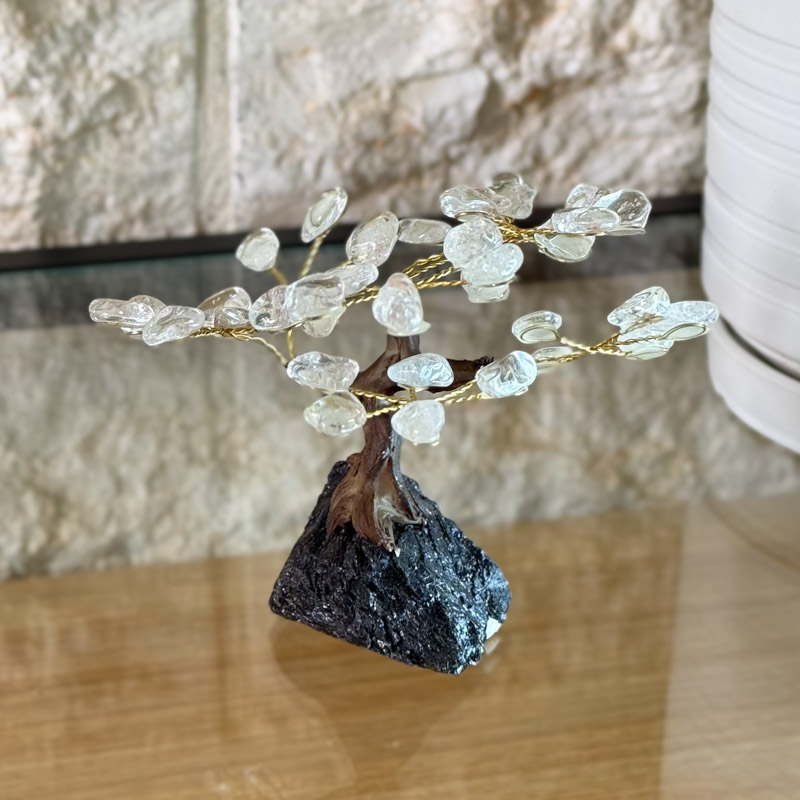 העץ הנדיב קוורץ על טורמלין שחור פיצי