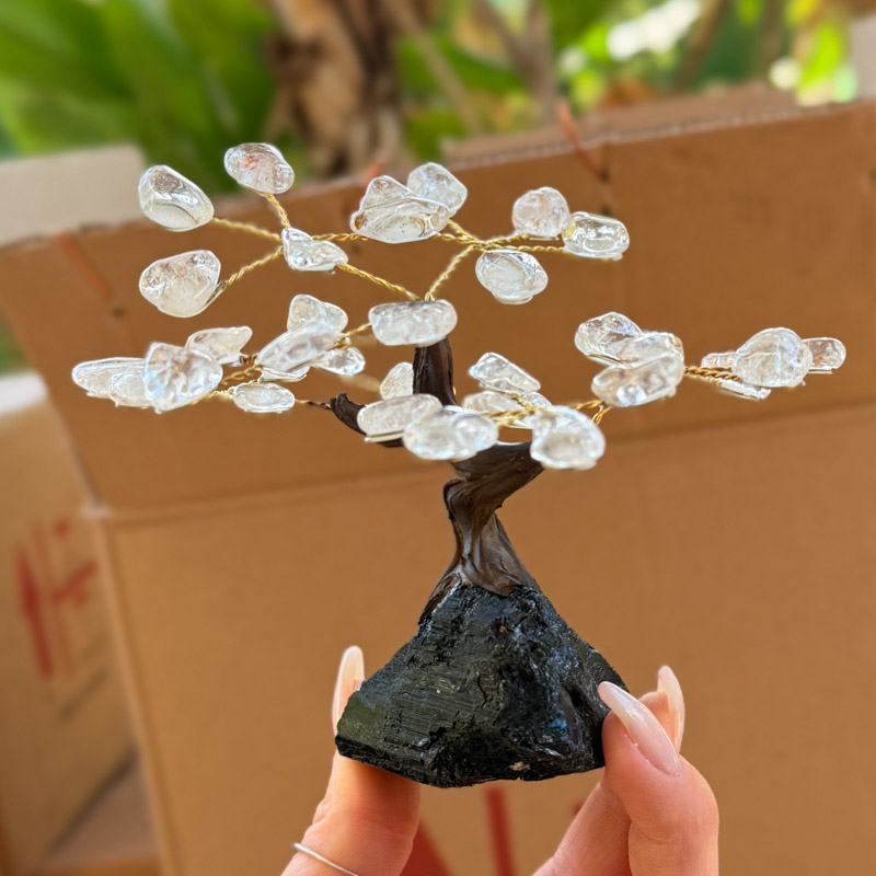 העץ הנדיב קוורץ על טורמלין שחור פיצי