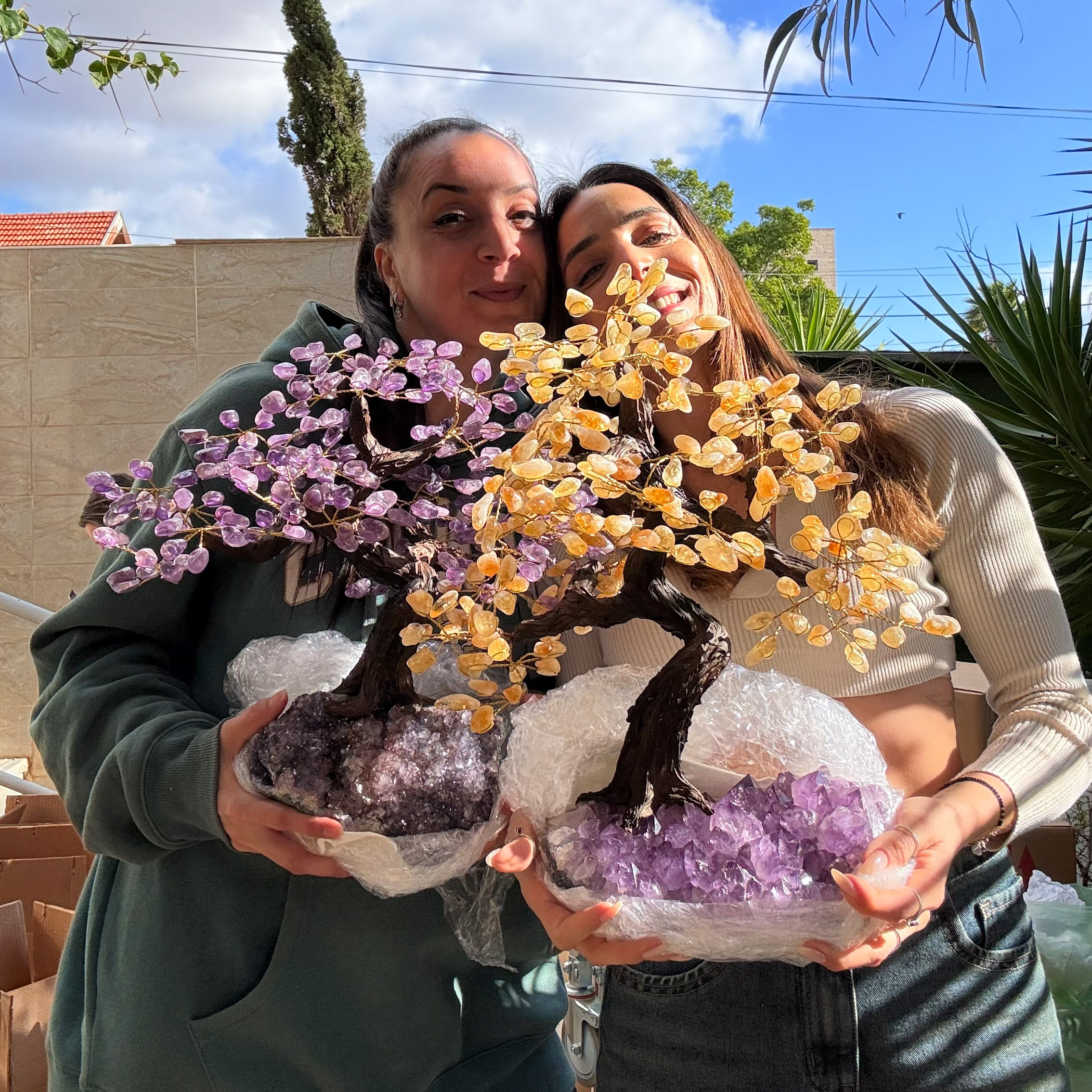 עץ אמטיסט על מושבה ענק