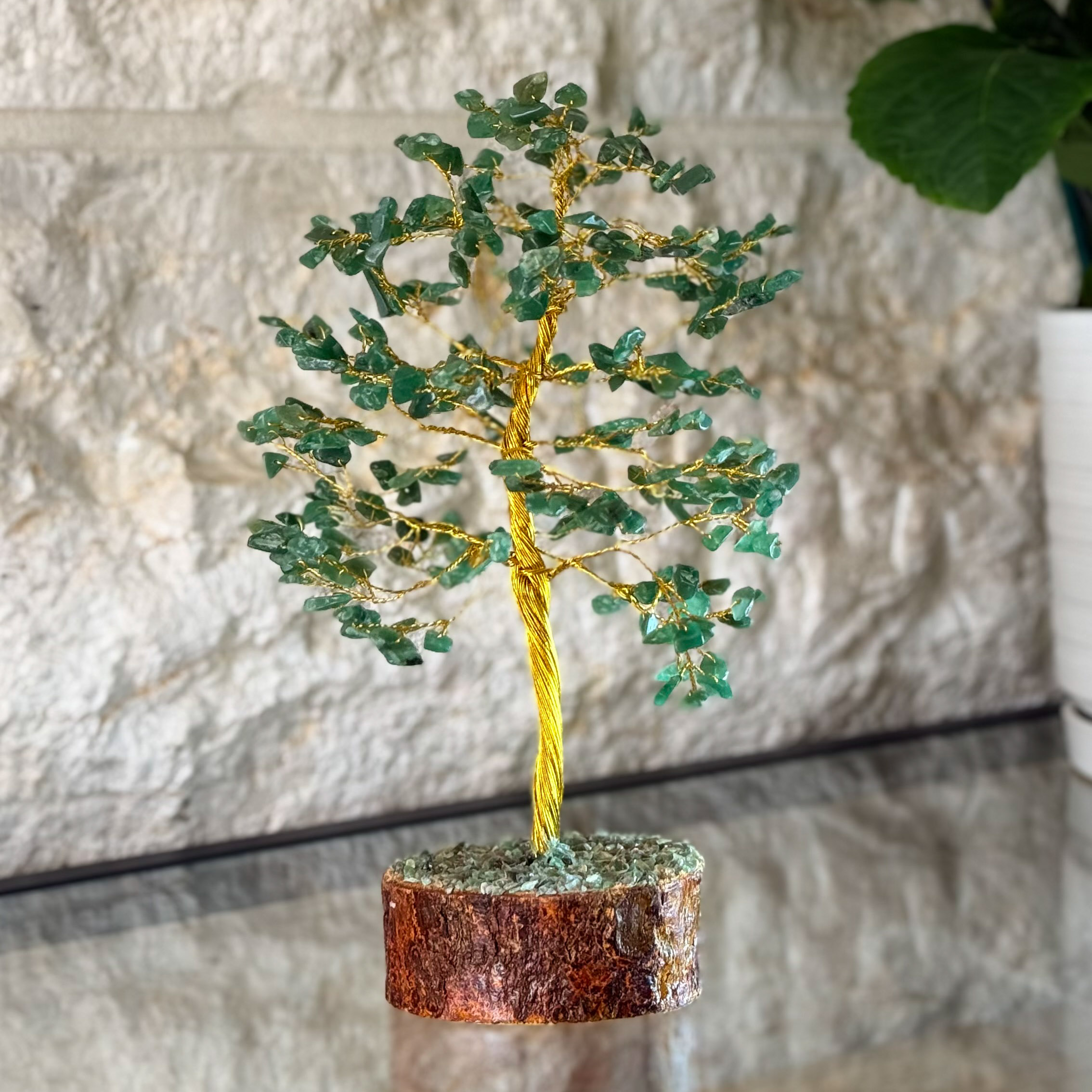 עץ ג'ייד ליפוף גדול עץ ג'ייד ליפוף גדול